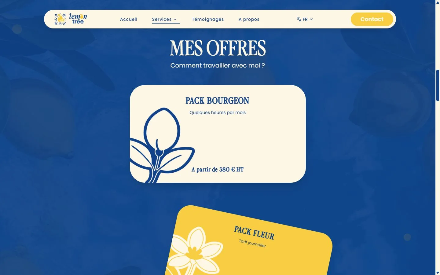 Offres : Pack Bourgeon mensuel et présentation du Pack Fleur journalier